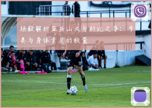 杨毅解析亚历山大与科比之争：节奏与身体素质的较量