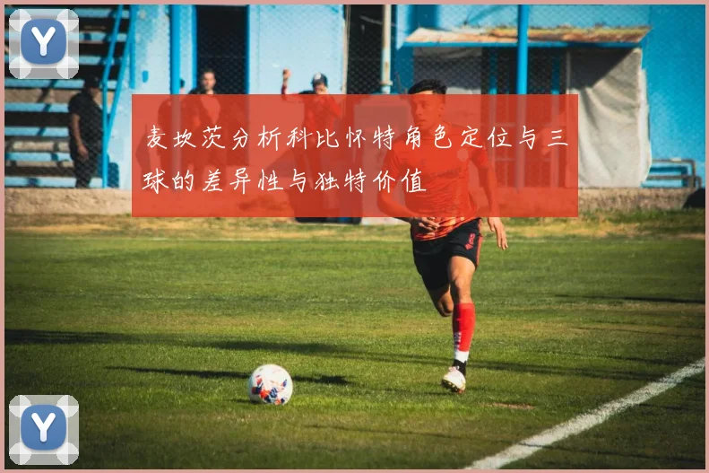 麦坎茨分析科比怀特角色定位与三球的差异性与独特价值